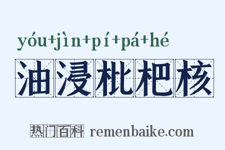 油浸枇杷核是什么意思的图片